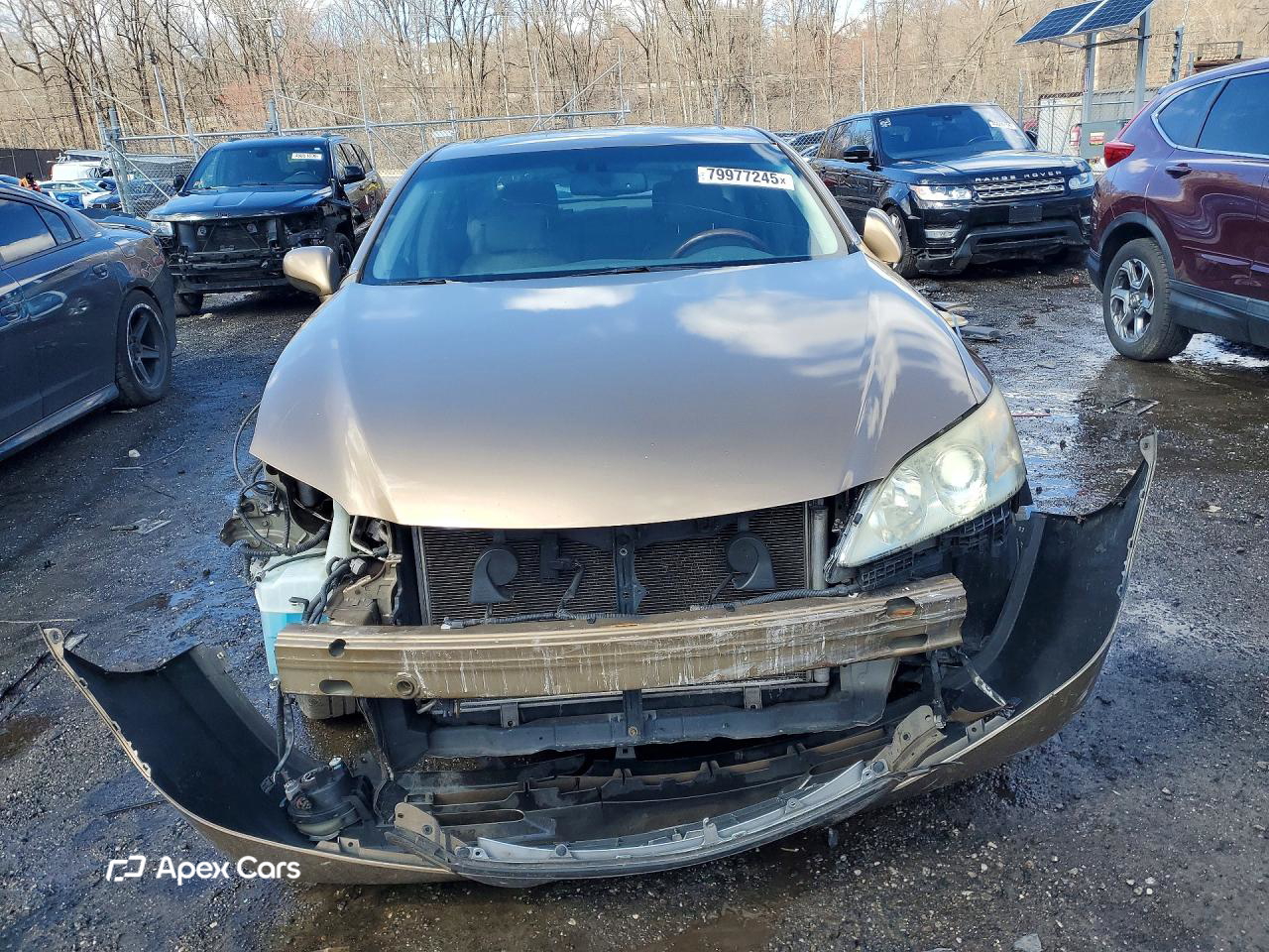Lexus ES 2008