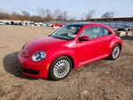 Volkswagen Beetle 2014