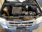 Ford Escape 2011