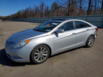 Sonata 2013