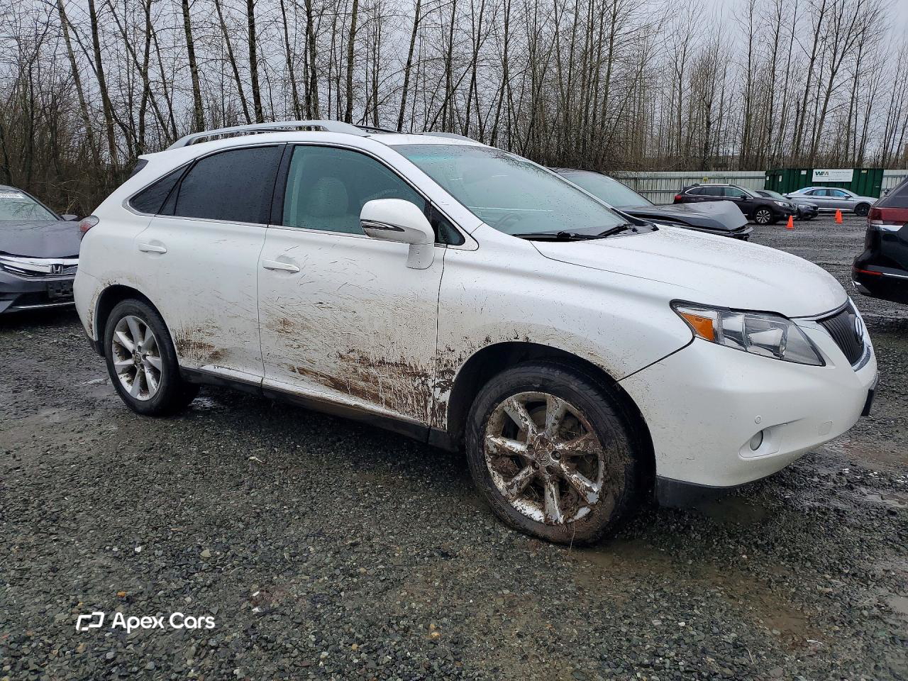 Lexus RX 2011