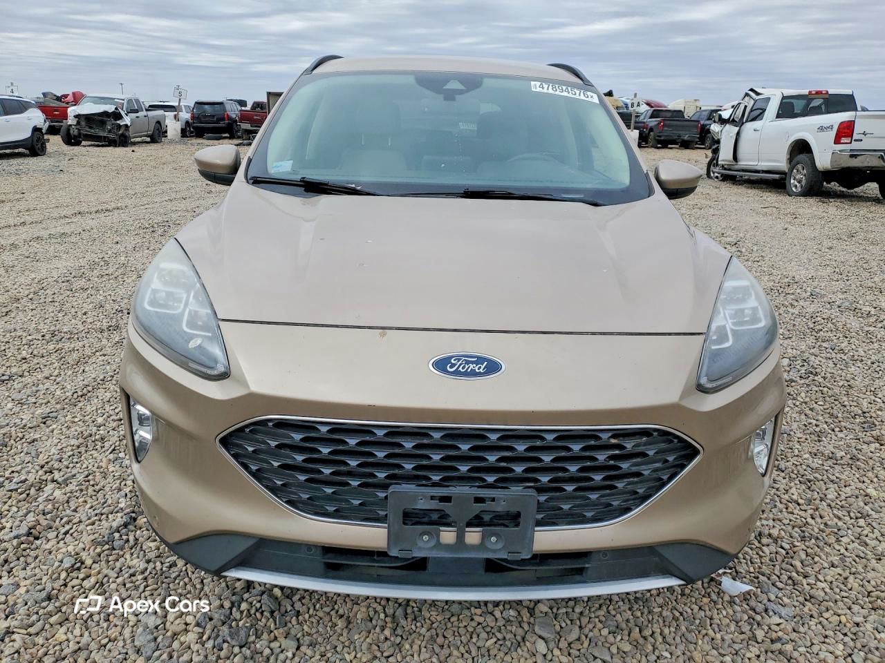 Ford Escape 2020