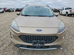 Ford Escape 2020