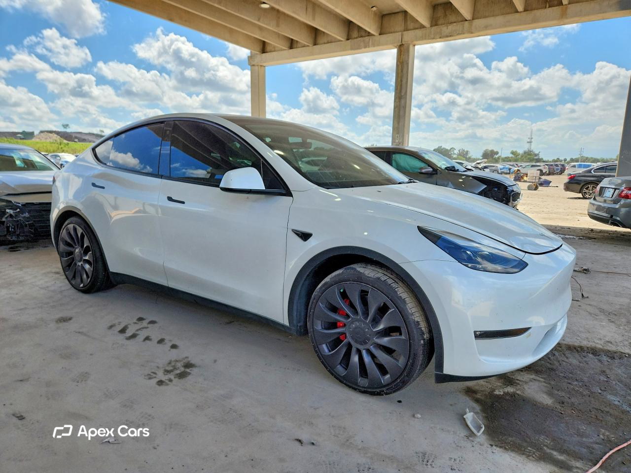 Tesla Model Y 2023