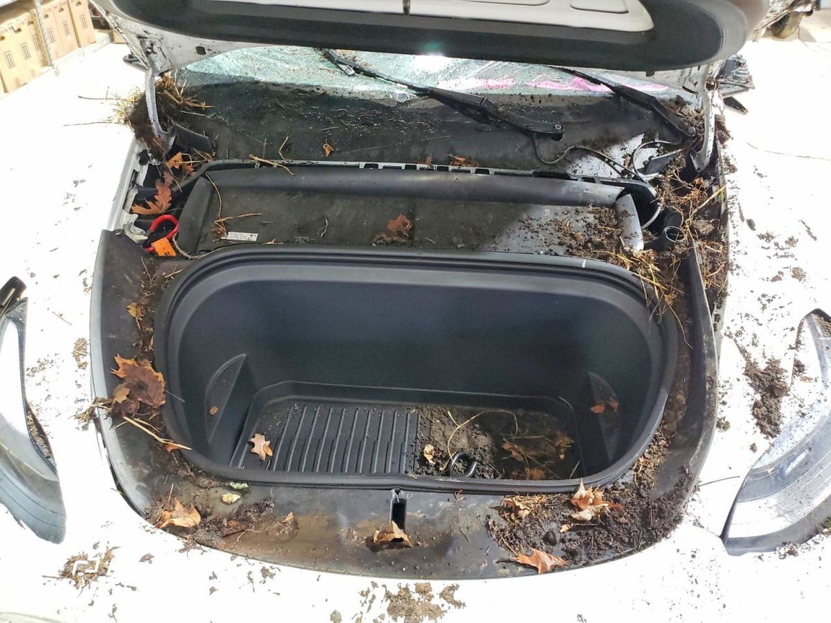 Tesla Model Y 2024