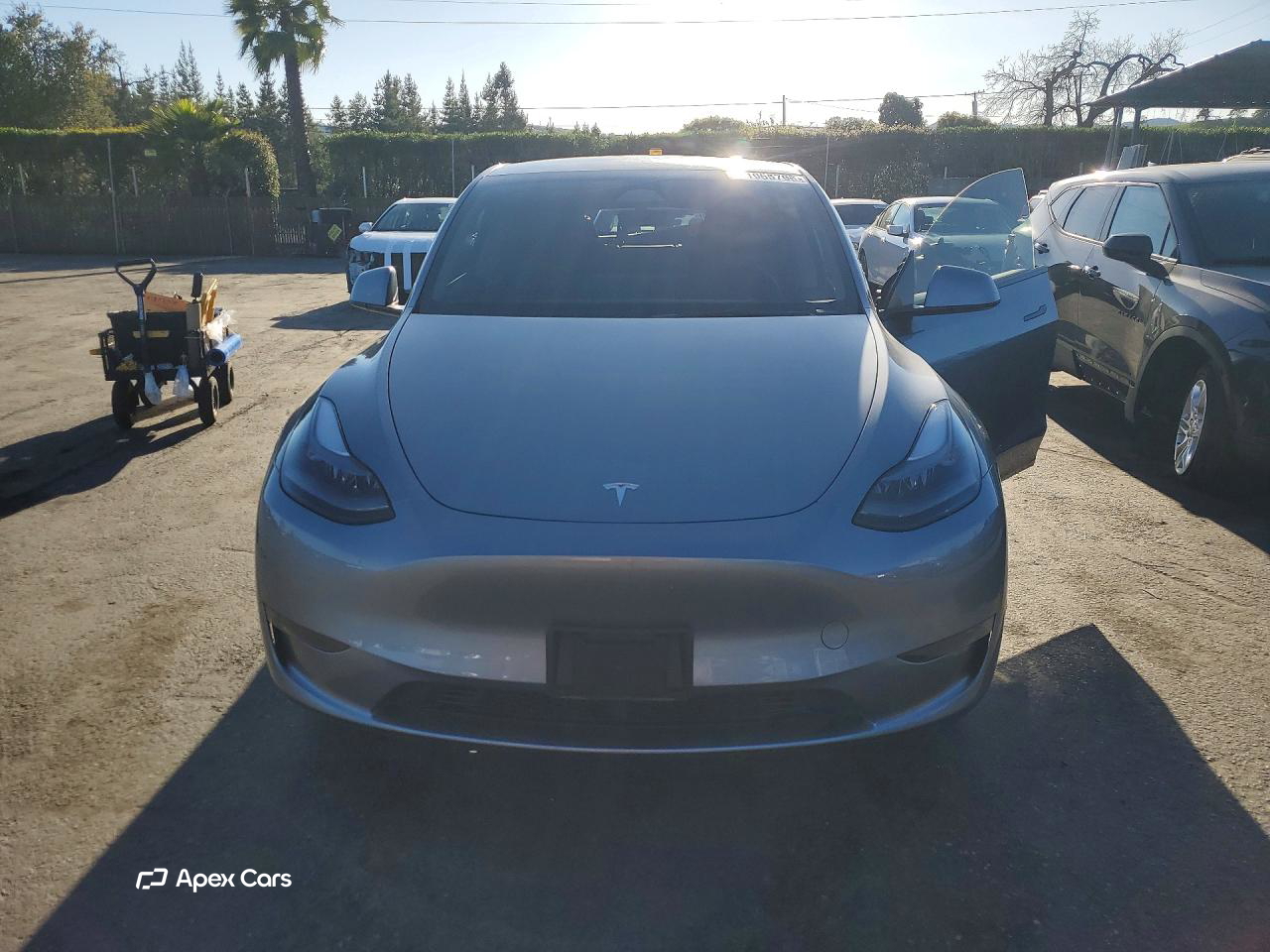 Tesla Model Y 2024