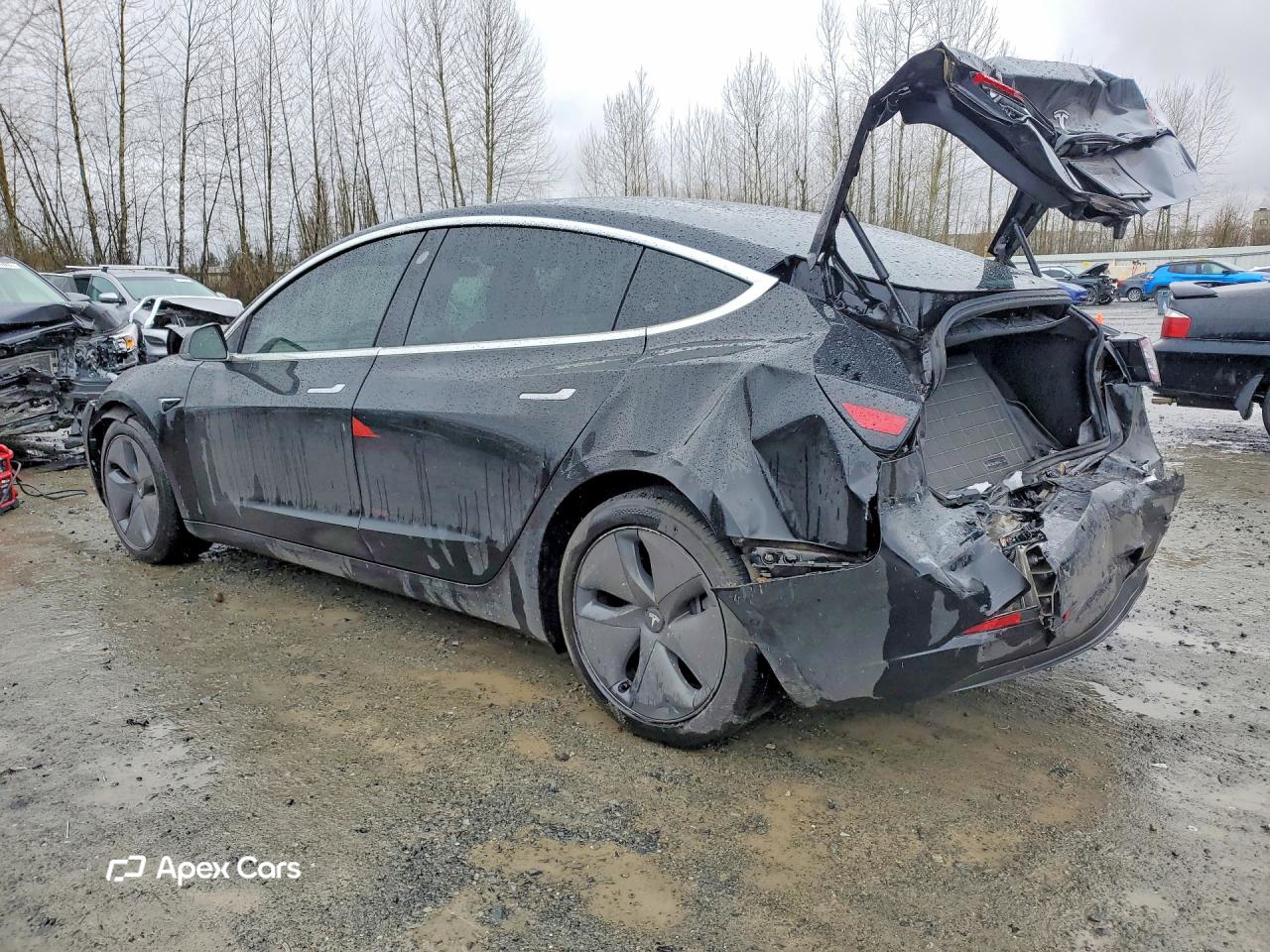 Tesla Model 3 2019