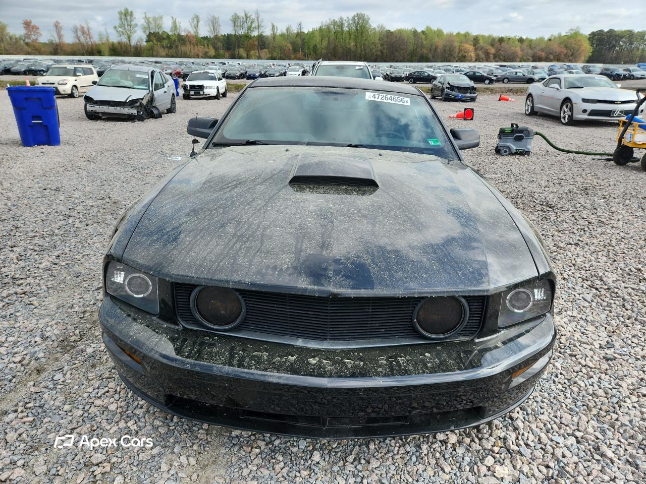 Ford Mustang 2008