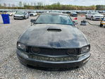 Ford Mustang 2008