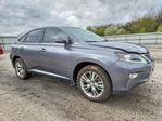 Lexus RX 2013