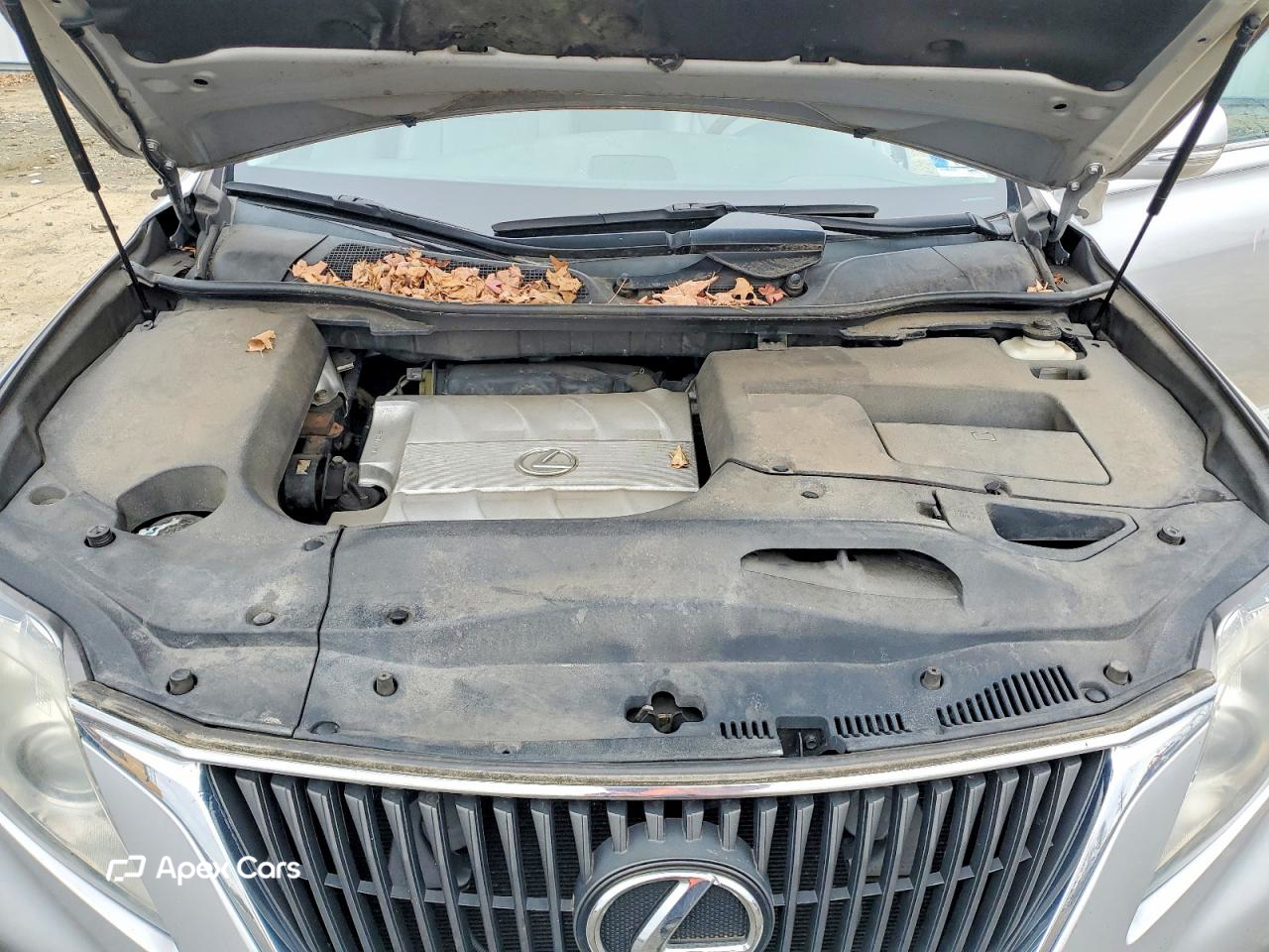 Lexus RX 2010