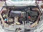 Honda Accord 2013