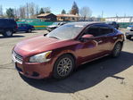 Nissan Maxima 2010