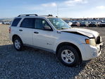 Ford Escape 2009