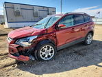 Ford Escape 2014