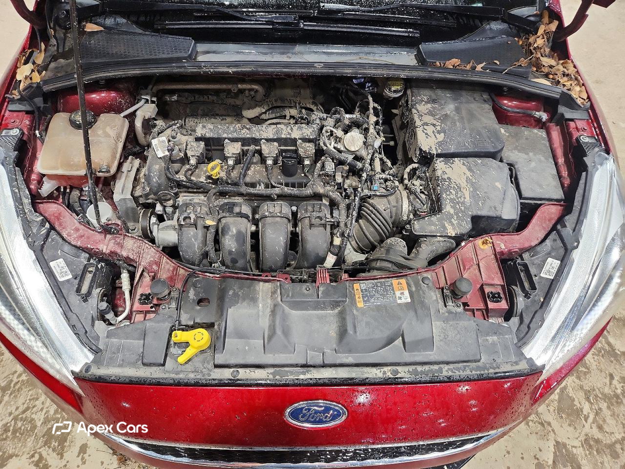 Ford Focus 2016