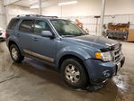 Ford Escape 2011