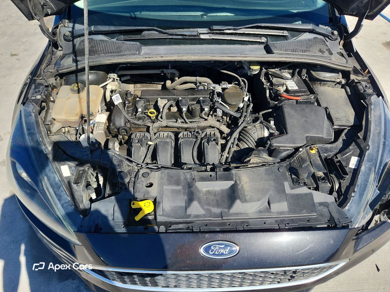 Ford Focus 2015