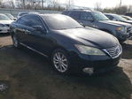 Lexus ES 2010