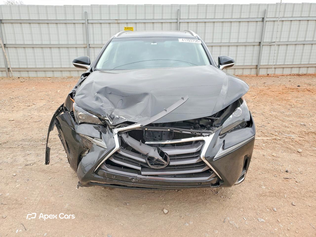 Lexus NX 2015