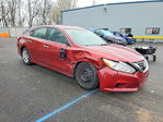 Nissan Altima 2016