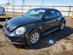 Volkswagen Beetle 2013
