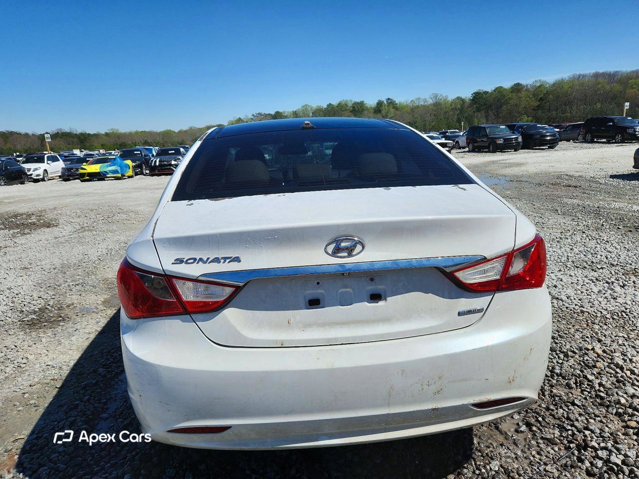 Hyundai Sonata 2013