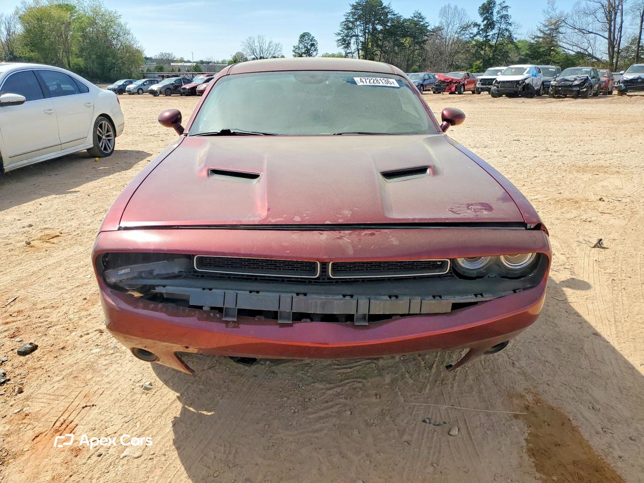 Dodge Challenger 2019