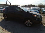 Kia Sportage 2013