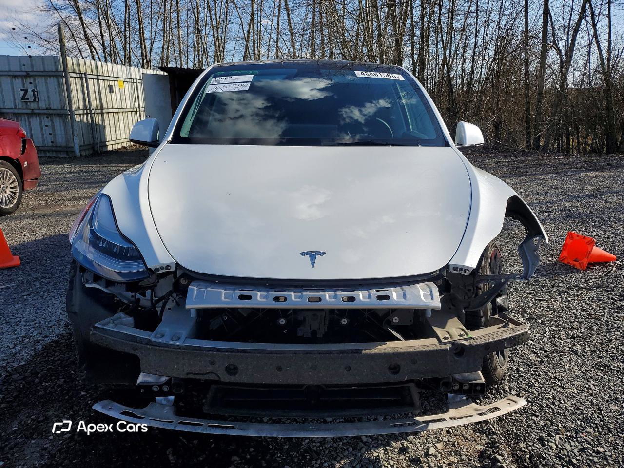 Tesla Model Y 2021
