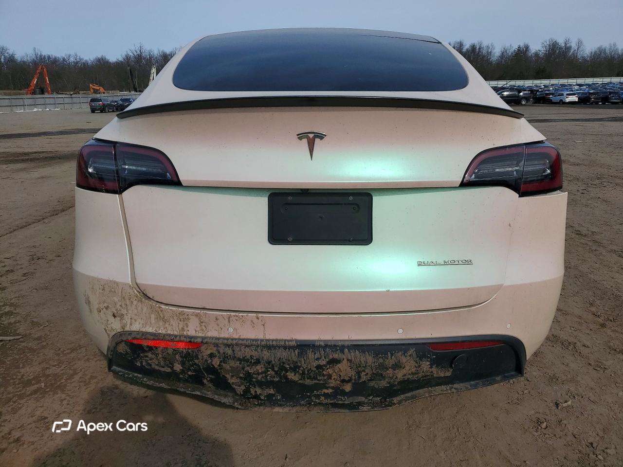Tesla Model Y 2020