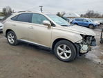 Lexus RX 2013