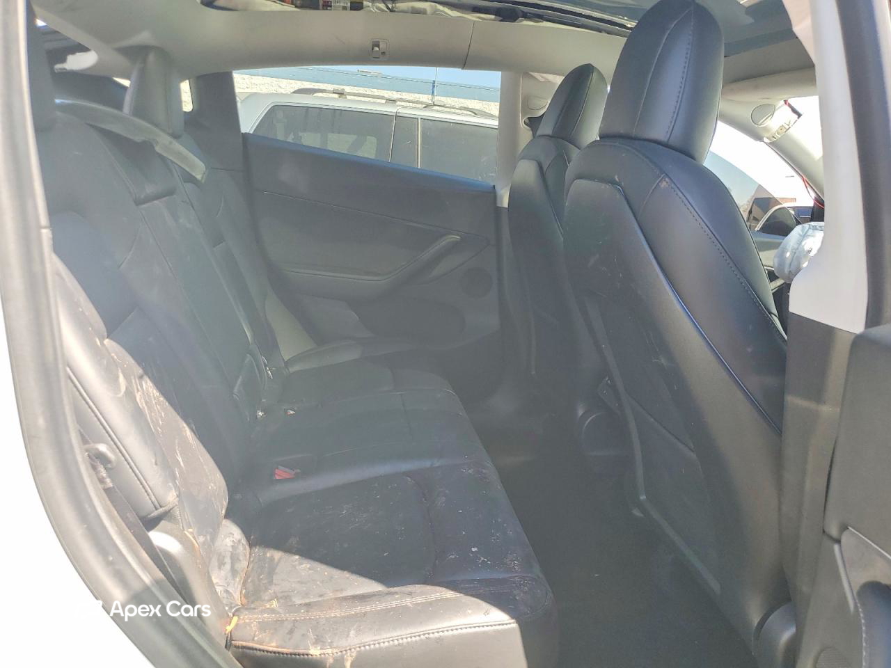 Tesla Model Y 2020