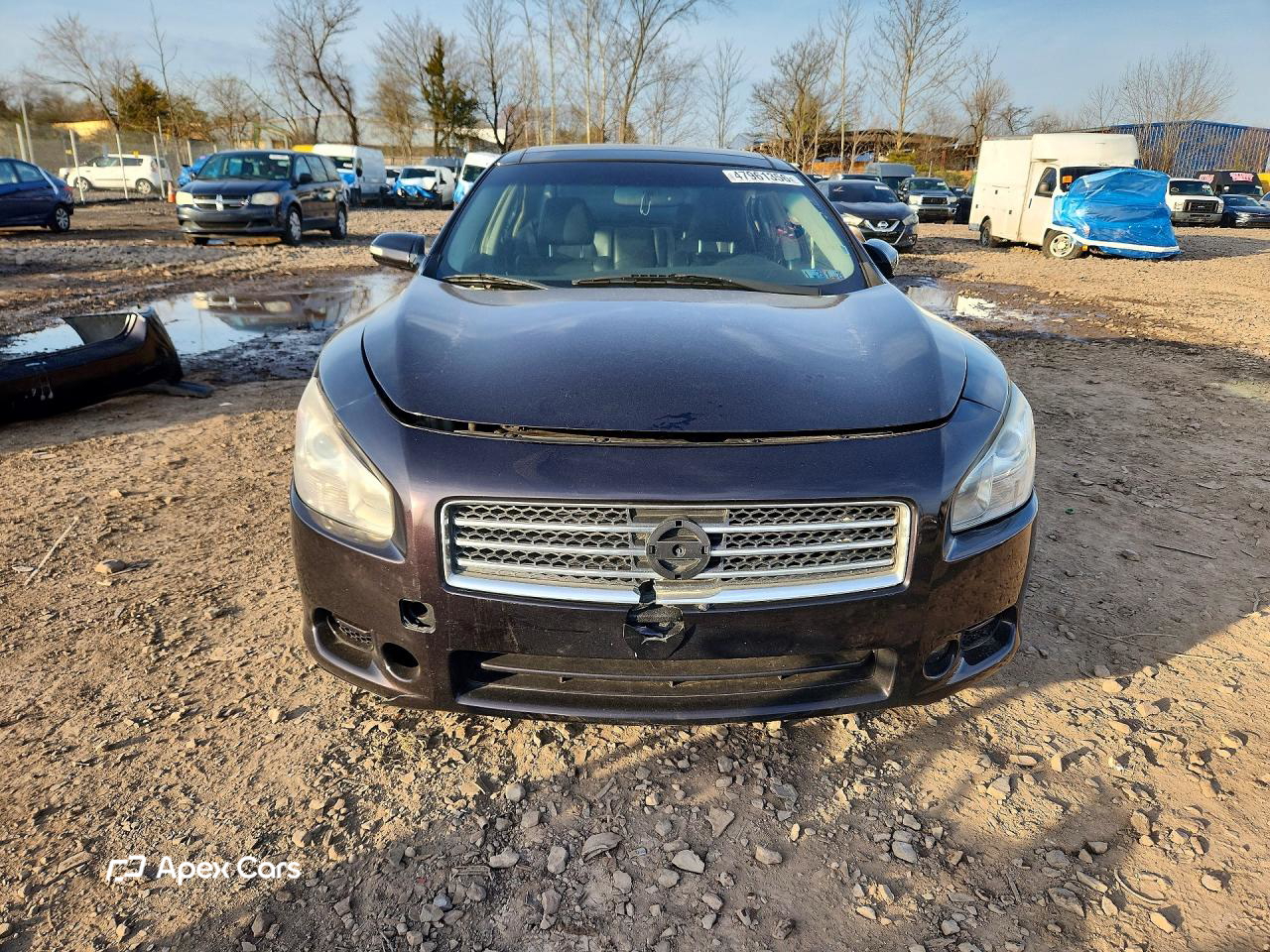 Nissan Maxima 2014