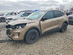 Ford Escape 2020