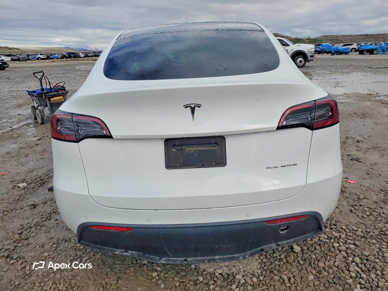 Tesla Model Y 2021