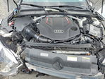 Audi RS5 2024