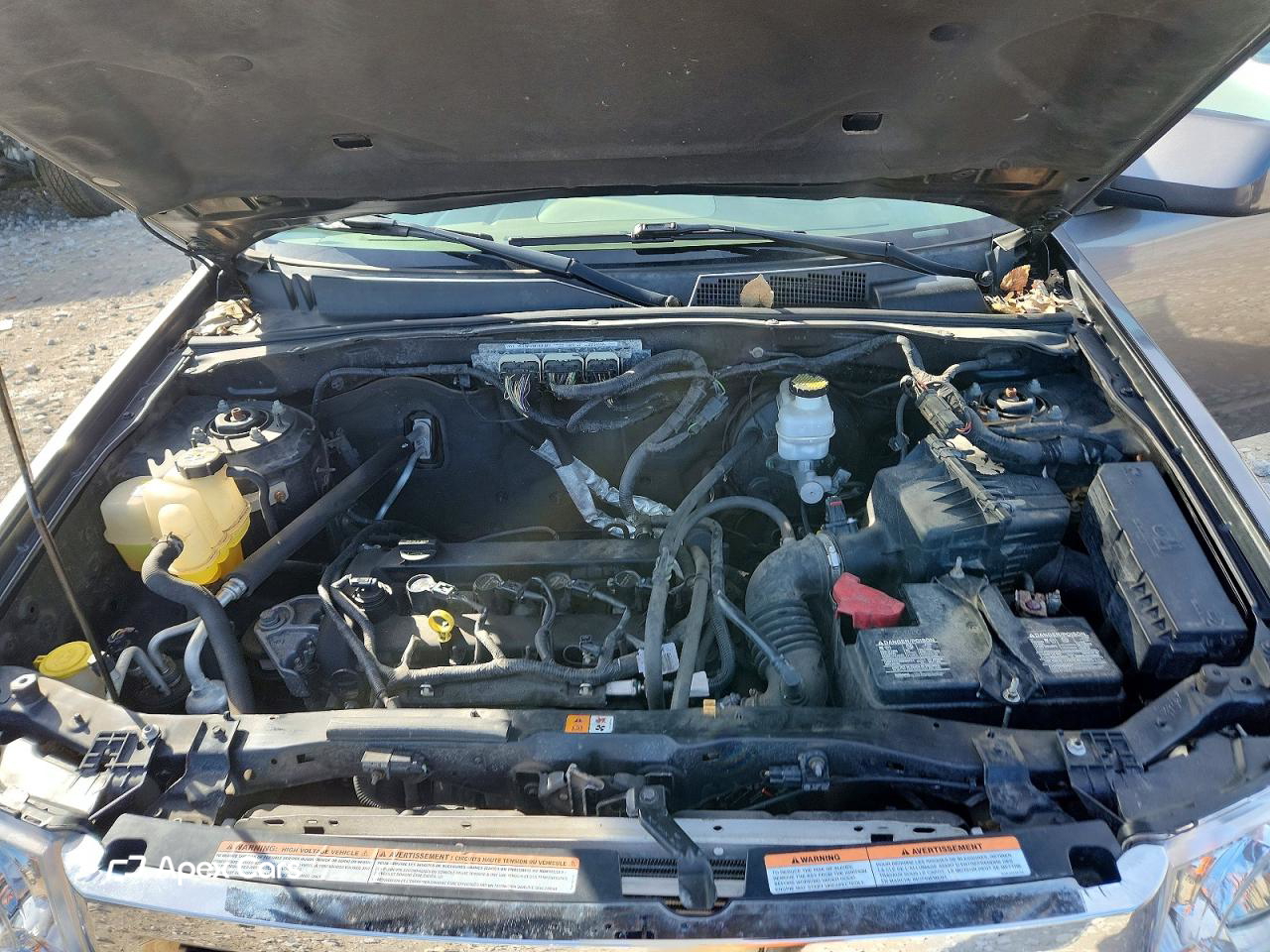 Ford Escape 2010