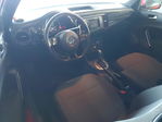 Volkswagen Beetle 2019