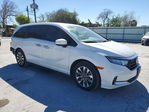 Honda Odyssey 2024
