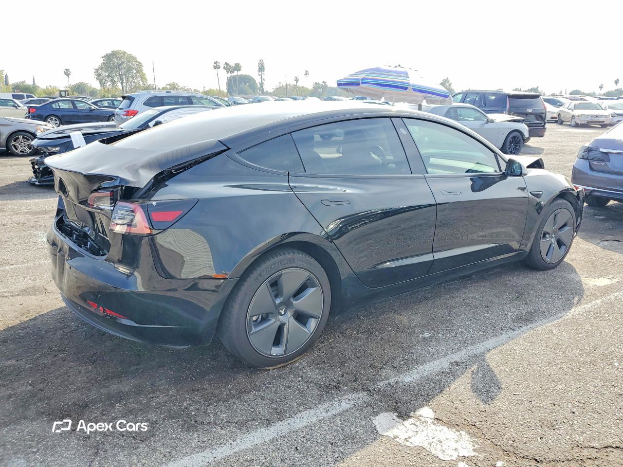 Tesla Model 3 2022
