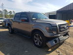 Ford F-150 2013