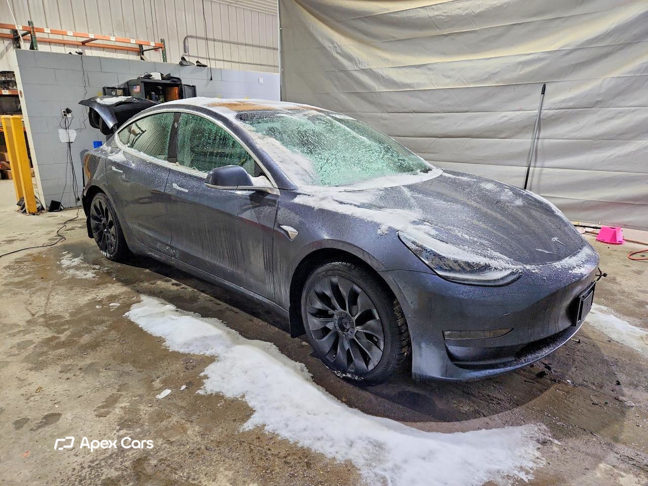 Tesla Model 3 2019