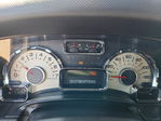 Ford Expedition 2007