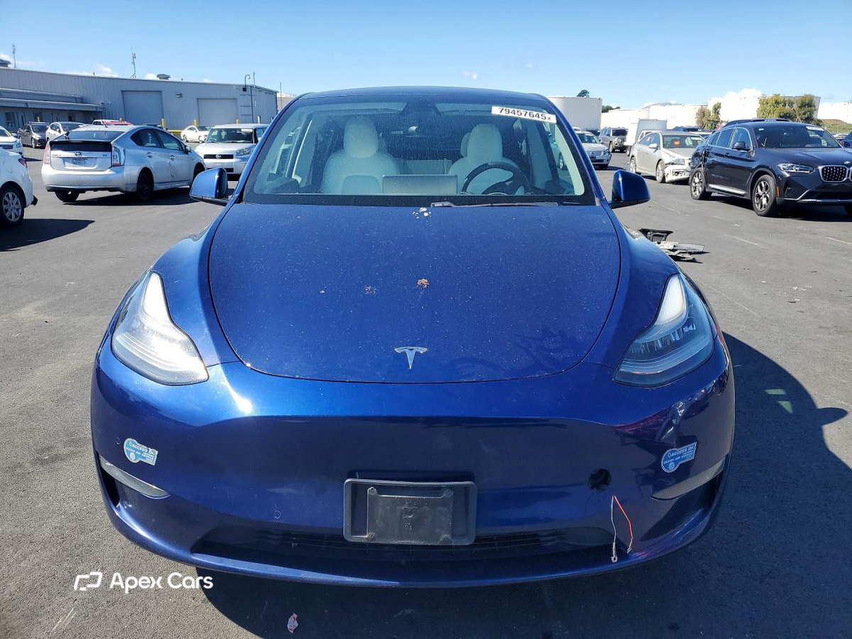 Tesla Model Y 2020