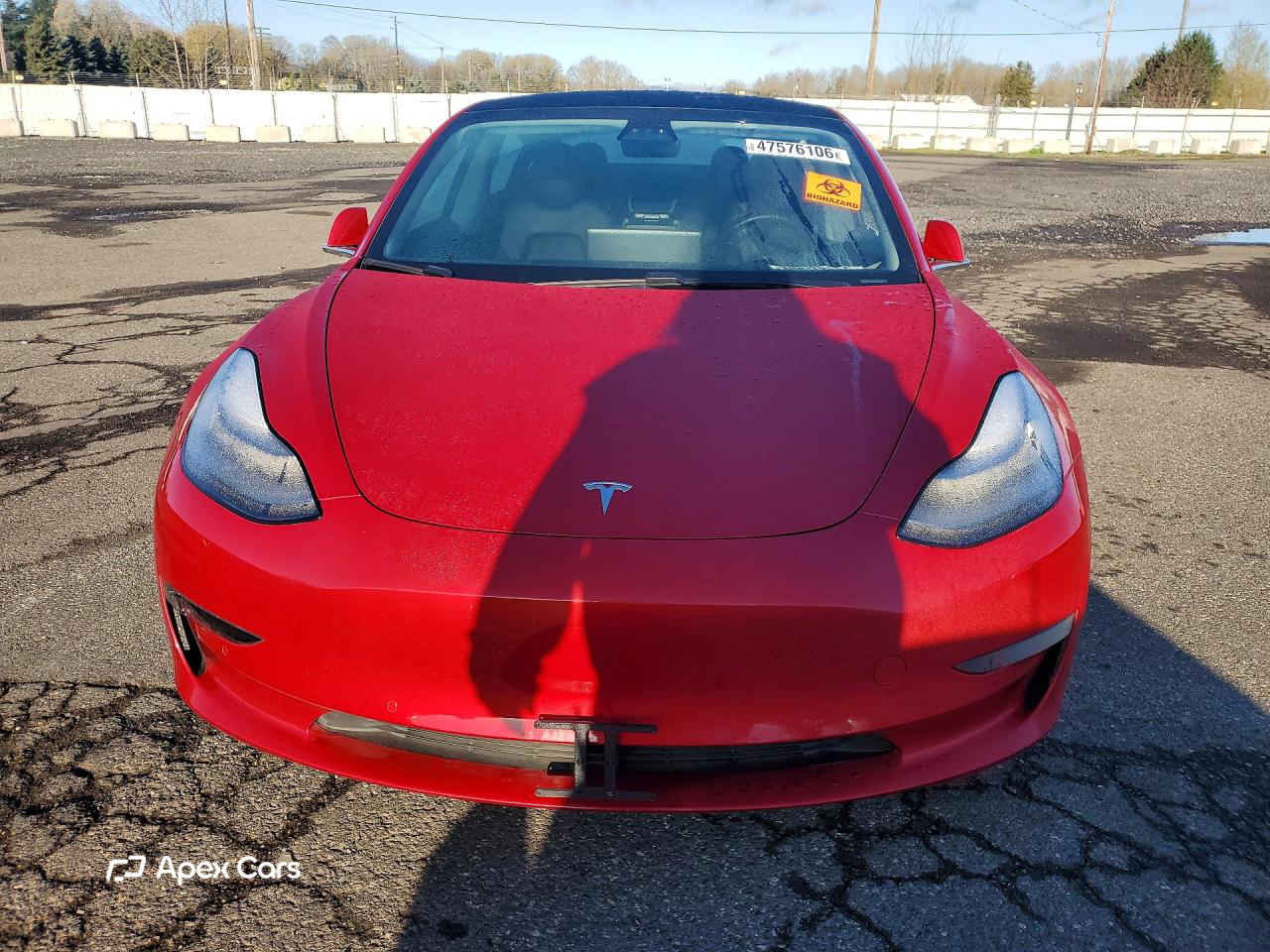 Tesla Model 3 2019