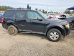 Ford Escape 2010