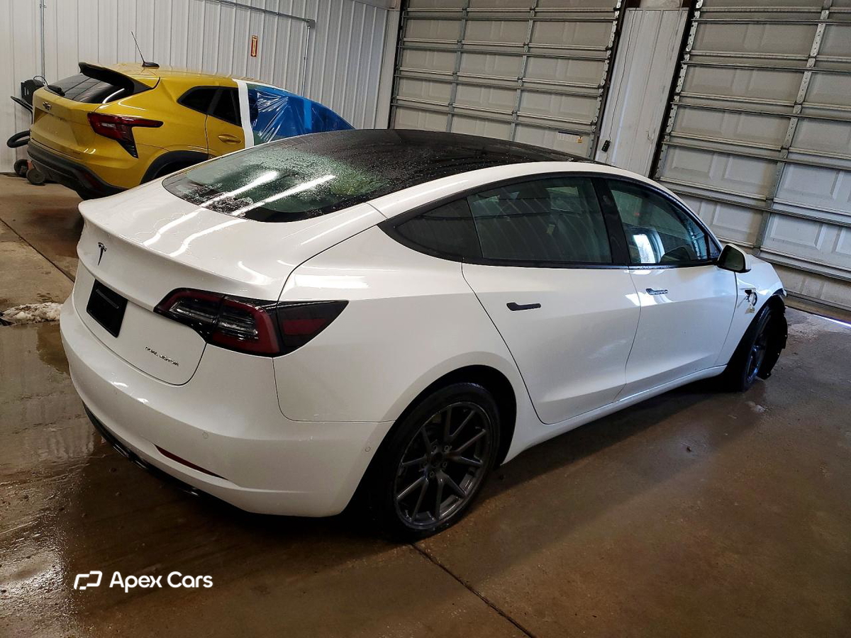 Tesla Model 3 2019