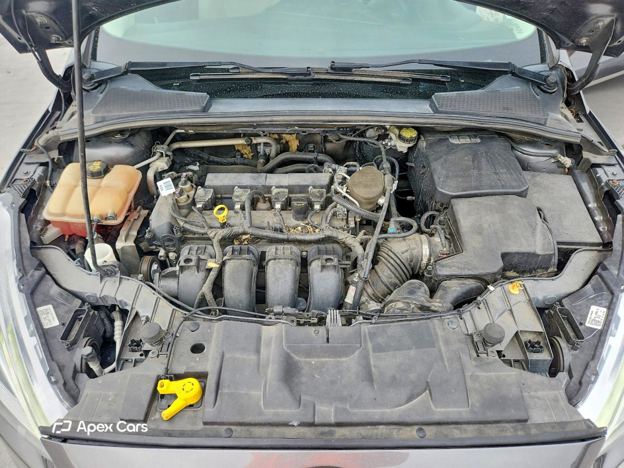 Ford Focus 2016