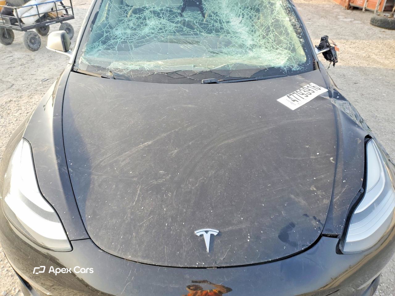 Tesla Model 3 2019